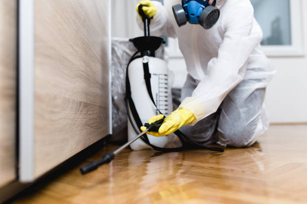 Best Affordable Pest Control Services  in Pendleton, IN