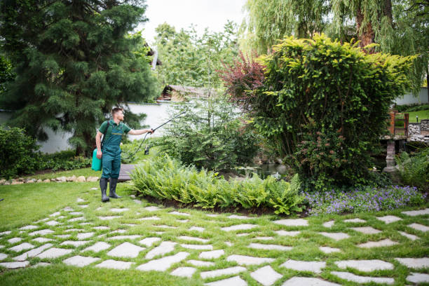 Wasp Removal Services in Pendleton, IN