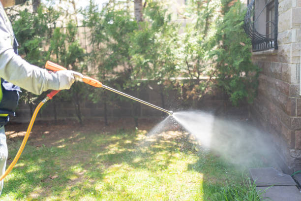 Wasp Removal Services in Pendleton, IN