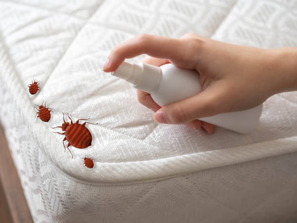 Best Insect Control  in Pendleton, IN