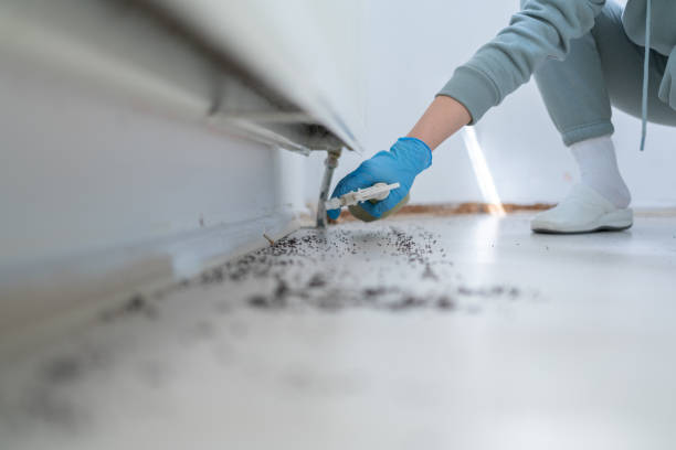 Reliable Pendleton, IN Pest Control Solutions