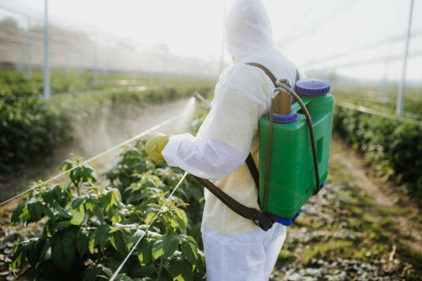 Best Termite Control Services  in Pendleton, IN